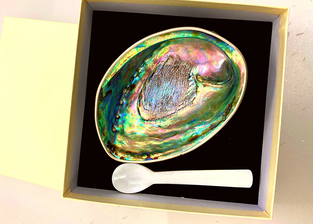 Abalone Shell