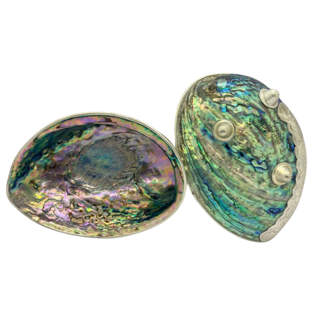 Abalone Shell