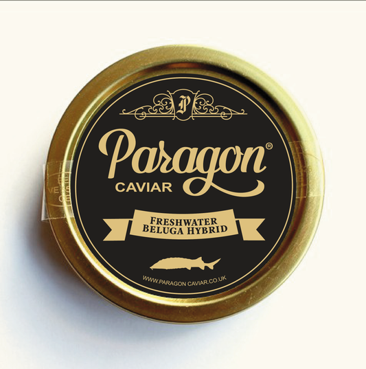 Freshwater Beluga Hybrid Caviar